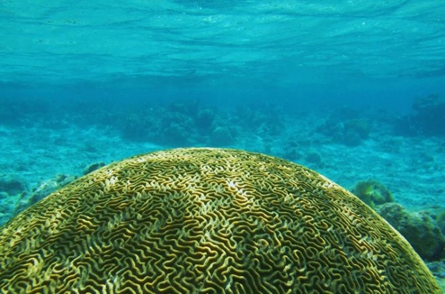  Marine Gardens 